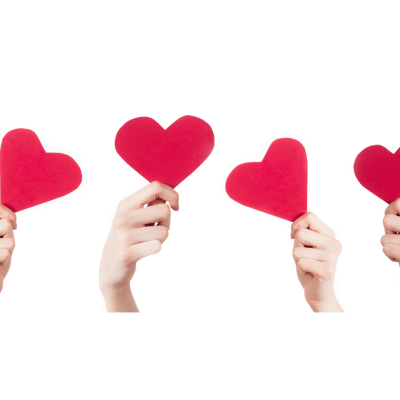 Organizing your corporate group for a volunteering activity with our team is simple, quick and a fun team building experience for the whole group. For an effective use of our resources, the smallest group should be at least 4 people and the largest can be up to 20 people per shift. Schedule your team with us to lock in your volunteer team building day.